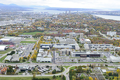 Cinq Entreprises étudiantes De L’Université Laval Sont Lauréates à ...