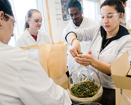 École doctorale sur la nordicité et les avancées en sciences des produits naturels