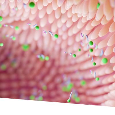 Impact santé cardiométabolique